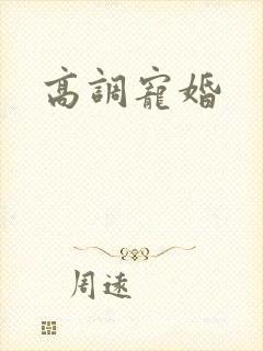 高调宠婚