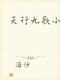 天行九歌小说