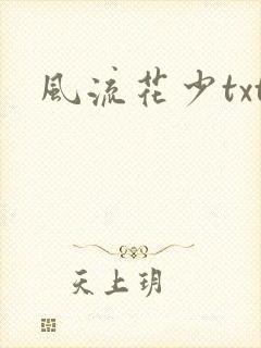 风流花少txt