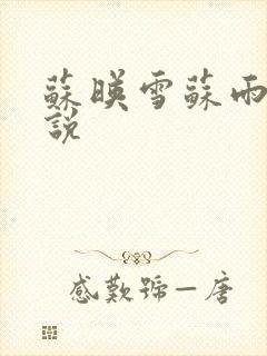 苏映雪苏雨柔小说