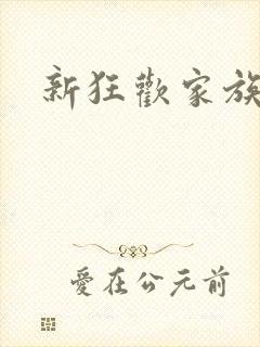 新狂欢家族小说