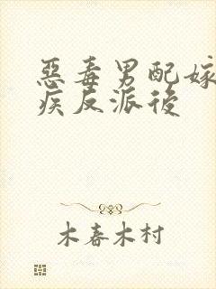 恶毒男配嫁给残疾反派后