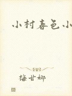 小村春色小说