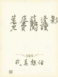 叶辰苏清影全文免费阅读