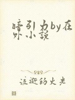 暗引力by在言外小说