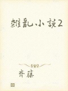 杂乱小说2