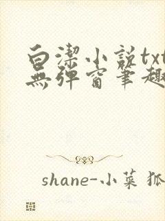 白洁小说txt无弹窗笔趣阁