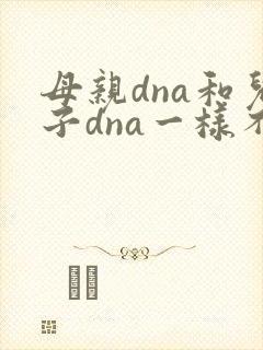 母亲dna和儿子dna一样不