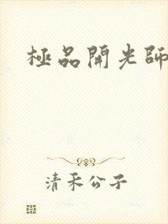 极品开光师