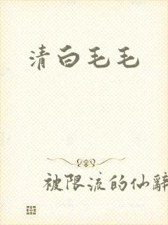 清白毛毛