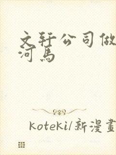 文轩公司做扩张河马