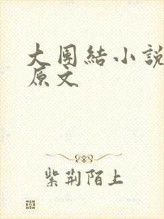 大团结小说阅读原文