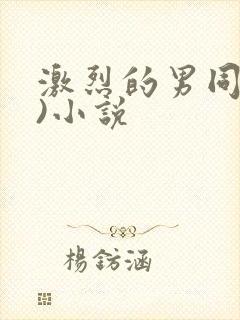 激烈的男同(h)小说