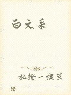 白文采