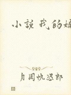 小说 我的娇妻