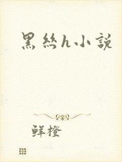 黑丝h小说