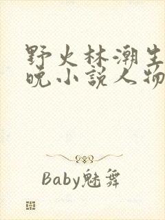 野火林潮生林晚晚小说人物野火