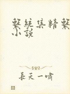 系统集精系统 小说