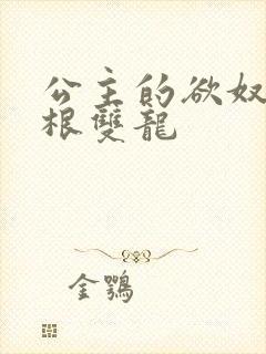 公主的欲奴h四根双龙