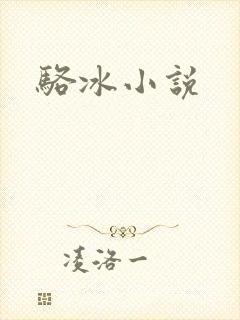 骆冰小说