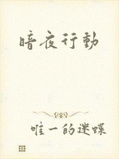 暗夜行动