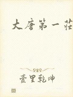 大唐第一庄