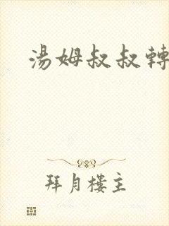 汤姆叔叔转接口