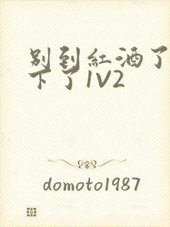 别到红酒了装不下了1V2