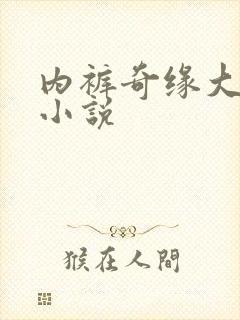 内裤奇缘大团结小说