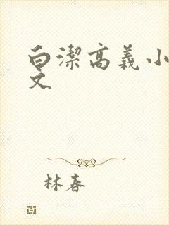 白洁高义小说全文