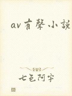 av有声小说