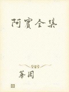 阿宾全集