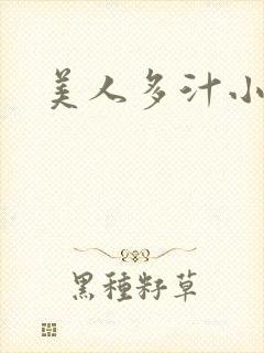美人多汁小说