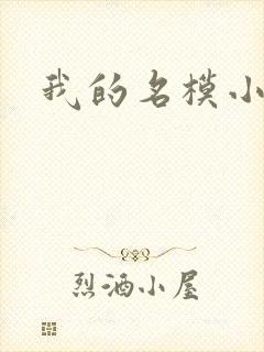 我的名模小娇妻