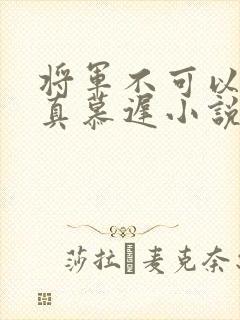 将军不可以魏云真慕迟小说笔趣阁