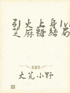 引火上身1v1芝麻糖结局