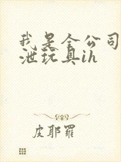 我是全公司的发泄玩具ih