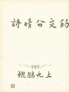 诗晴公交的小说