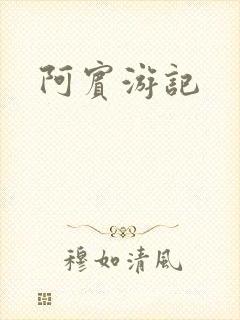 阿宾游记