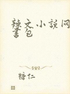 辣文小说网第二书包