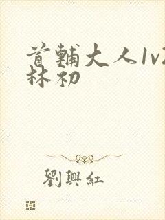 首辅大人1v2林初