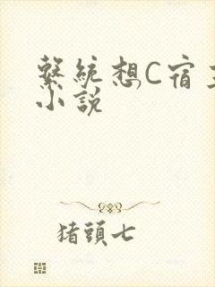 系统想C宿主的小说