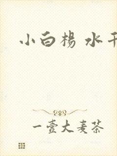 小白杨 水千丞