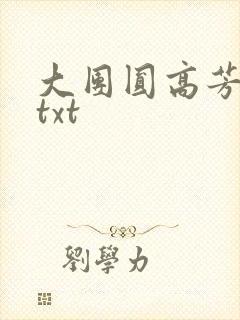 大团圆高芳小说txt