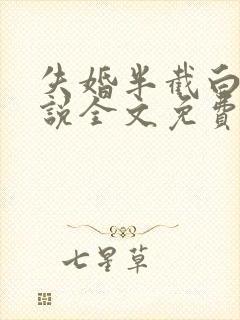 失婚半截白菜小说全文免费阅读