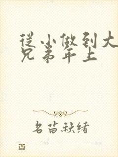 从小做到大骨科兄弟年上