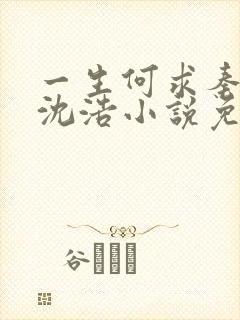 一生何求秦菲雪沈浩小说免费阅读全文