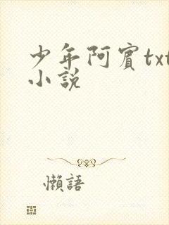 少年阿宾txt小说