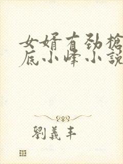 女婿有劲枪枪到底小峰小说