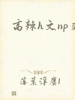 高辣h文np爽